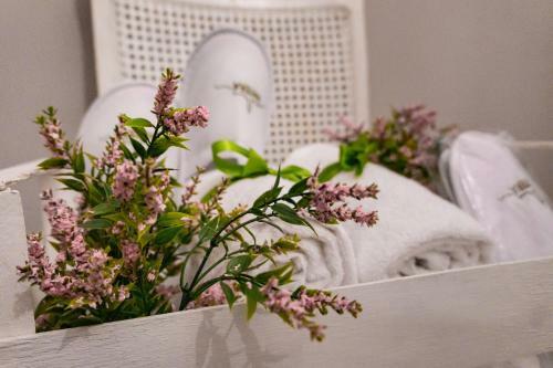 Bed & Breakfast Myricae