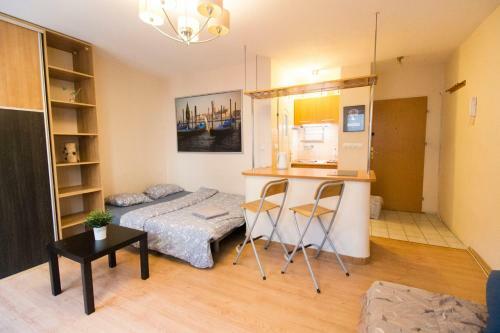 Lucky Apartaments Old Town -economy