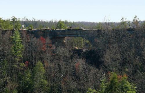 Hotel Big South Fork Trail Lodge