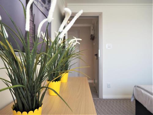 Apartamenty Dobranoc - Wawer 2