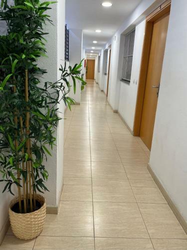 Apartments Brava