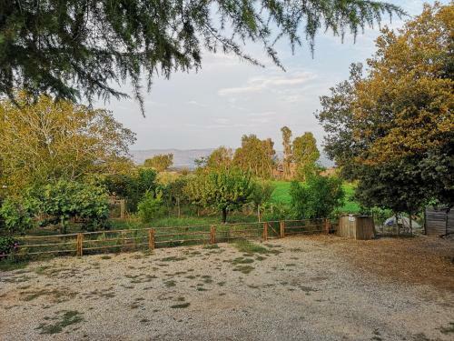 Radici B&B