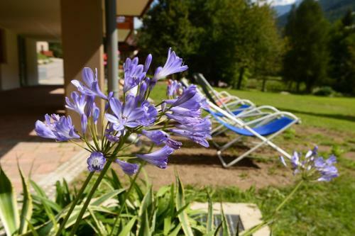 Apartamento La Casa Al Noce