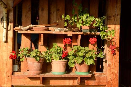 Apartamento La Casa Al Noce