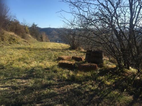Bed & Breakfast Residenza Cima Le Vigne
