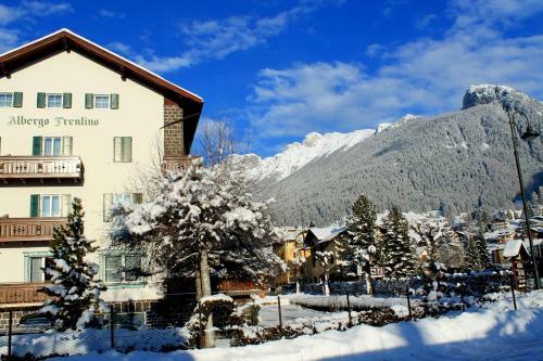 Hotel Albergo Trentino
