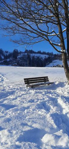 Hostal Garni Sayonara