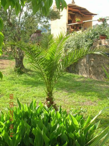 Hostal Affittacamere Munduge