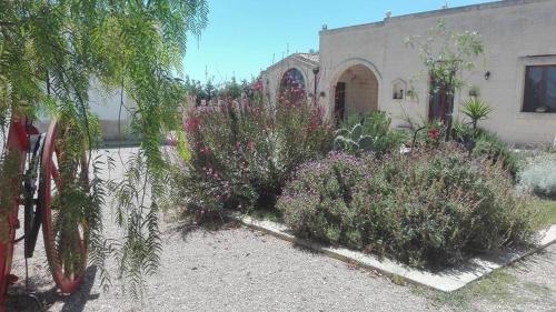 Agroturismo Masseria Suc�a