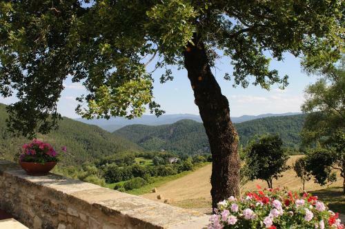 Bed & Breakfast Locanda Del Viandante
