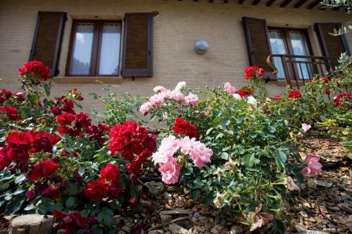 Agroturismo Agriturismo Il Girasole