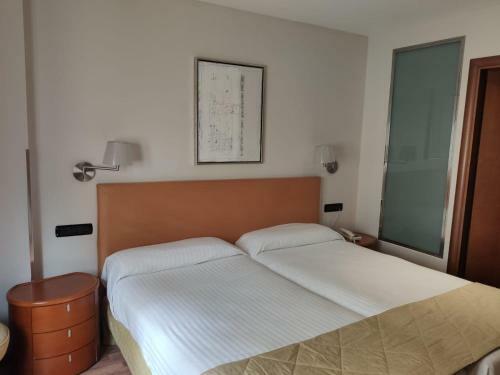 Hotel Carlos V Malaga