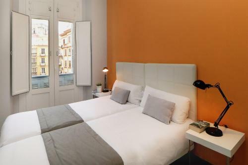 Apartamentos Calle Larios