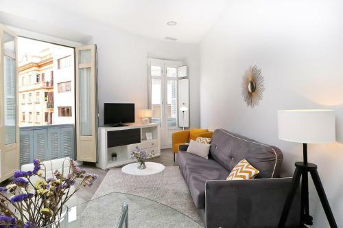 Apartamentos Calle Larios