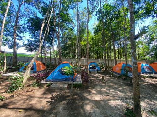 Hostal Bangkal Forest