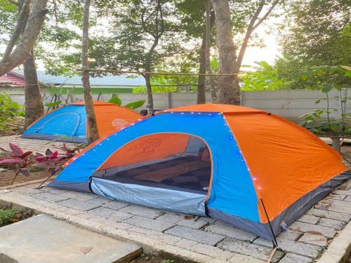 Hostal Bangkal Forest