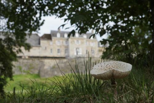 Glamping La Chapelle