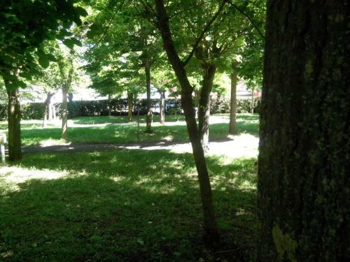 Camping Vigna Di Valle