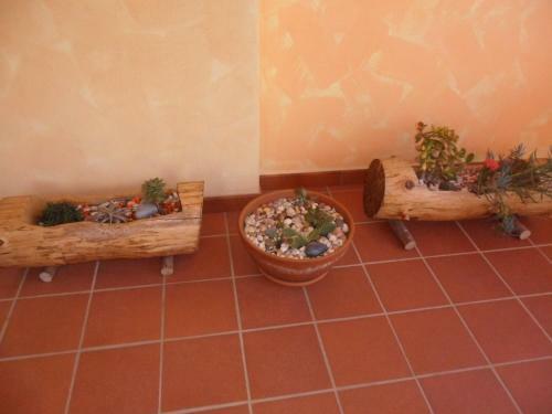 B&B Canne Al Vento