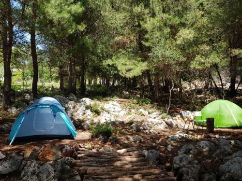 The Sea Cave Camping