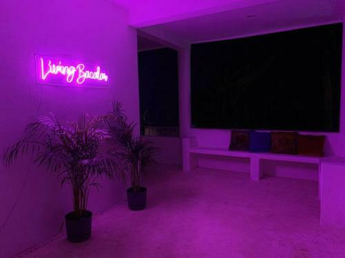 Casa Boox Jaguar