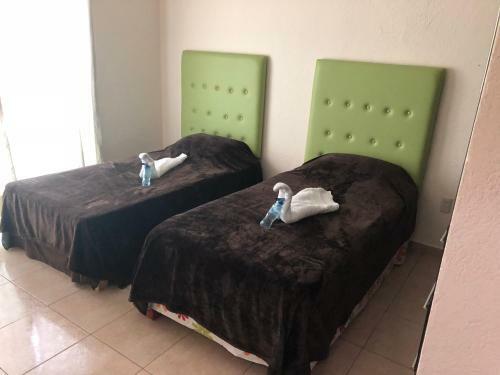 Ezhomes, Casas Equipadas