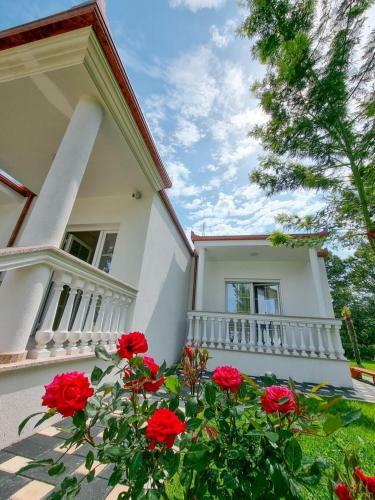 Hotel Frenki's Residence