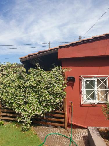 Small Cottage Asteria