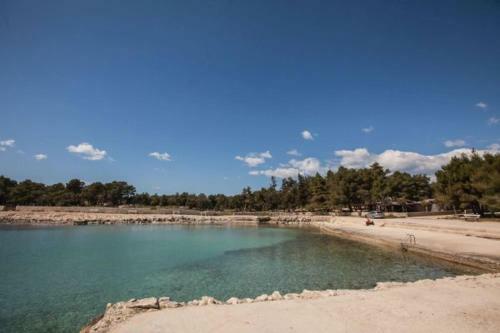Apartman Franc S