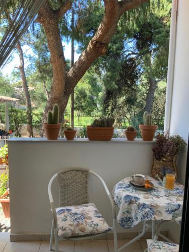 Apartamento ?????????? ?????????? ?? ??? ??????? ??? ????