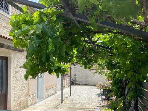 Apartamento Farfalle Di Valle