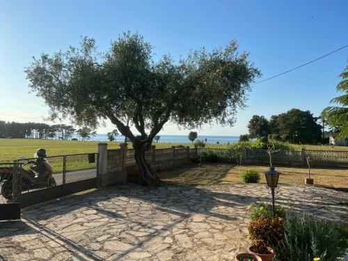 Apartmani Mariza