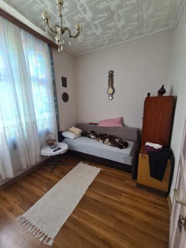 Cozy Piljurovi? Apartments
