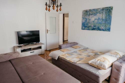 Apartment Bracovic - City Center
