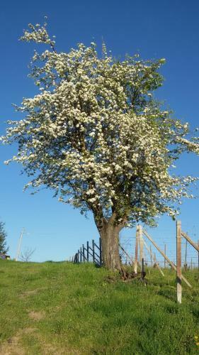 Agroturismo Cascina Longoria