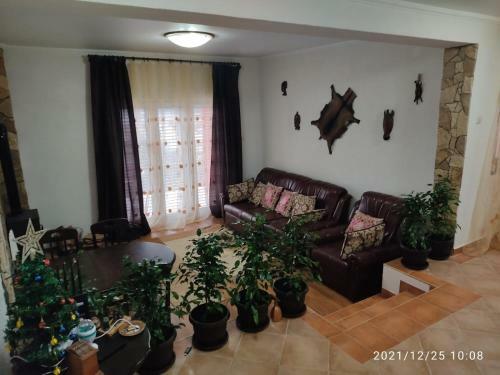 Apartamento ??????????? ????