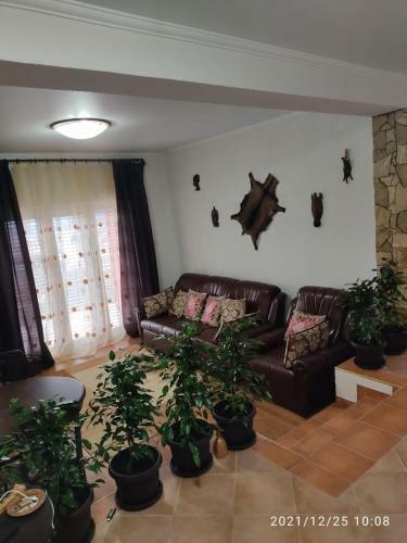Apartamento ??????????? ????