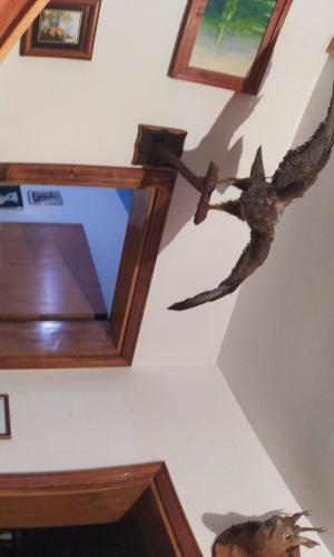 Villa Vila Antica Vrnjacka Banja
