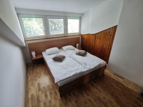 Apartment Lakebled With Casle Bled View