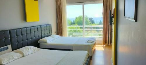 Hotel Anemonia Otel