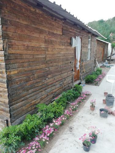 Apartamento Lime Tree Houses