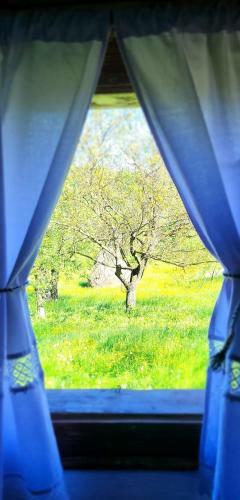 Agroturismo Breb 335 Accomodation & Garden