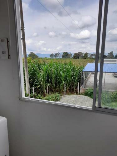 Apartamento Apto Piscina Y Parque Del Cafe