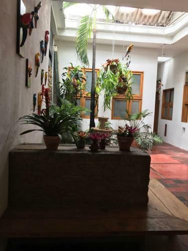 Apartamento Parrot Blue Ray San Antonio