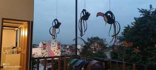 Apartamento Parrot Blue Ray San Antonio