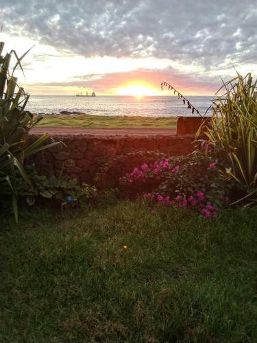Lodge Honu Rapanui