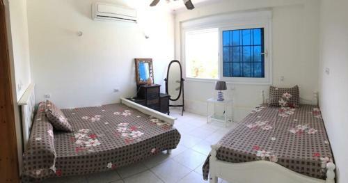 Villa ?????? 5