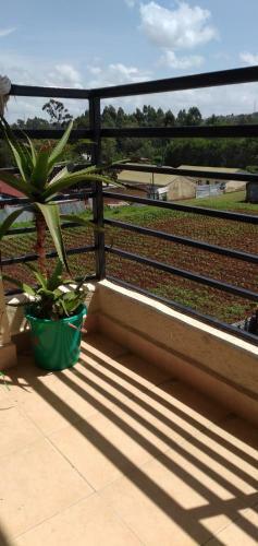 Apartamento Senzia