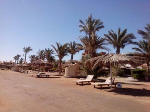 Nour Plaza Apartments