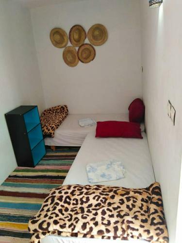Beach House Moknari